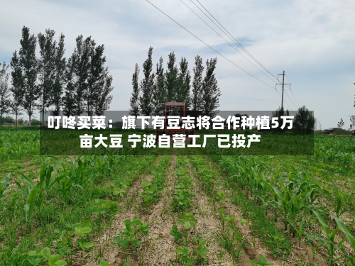 叮咚买菜：旗下有豆志将合作种植5万亩大豆 宁波自营工厂已投产