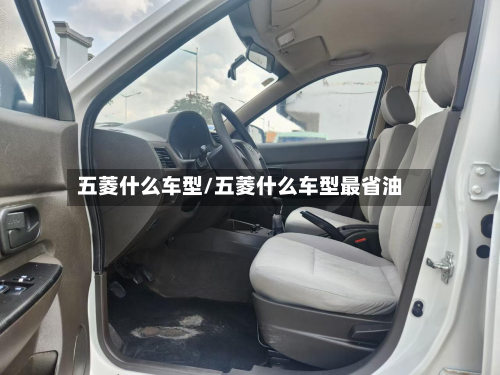 五菱什么车型/五菱什么车型最省油-第2张图片