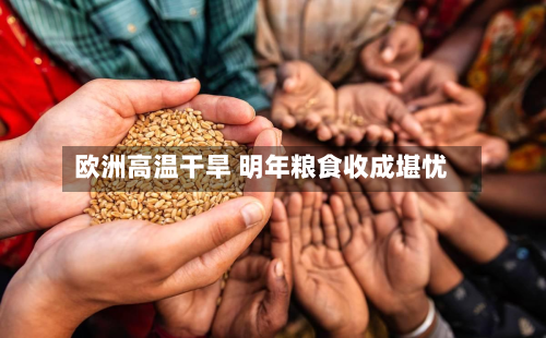 欧洲高温干旱 明年粮食收成堪忧-第2张图片
