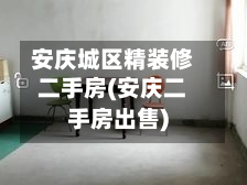 安庆城区精装修二手房(安庆二手房出售)-第2张图片