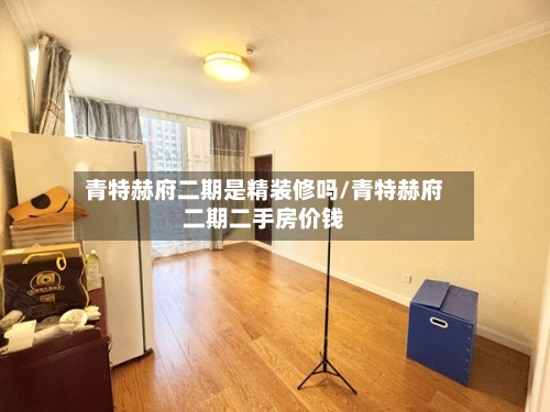 青特赫府二期是精装修吗/青特赫府二期二手房价钱