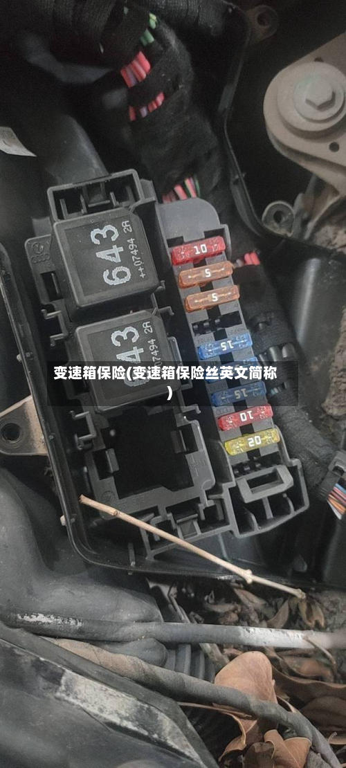 变速箱保险(变速箱保险丝英文简称)-第2张图片