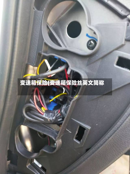 变速箱保险(变速箱保险丝英文简称)