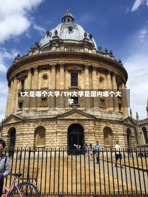 t大是哪个大学/TH大学是国内哪个大学