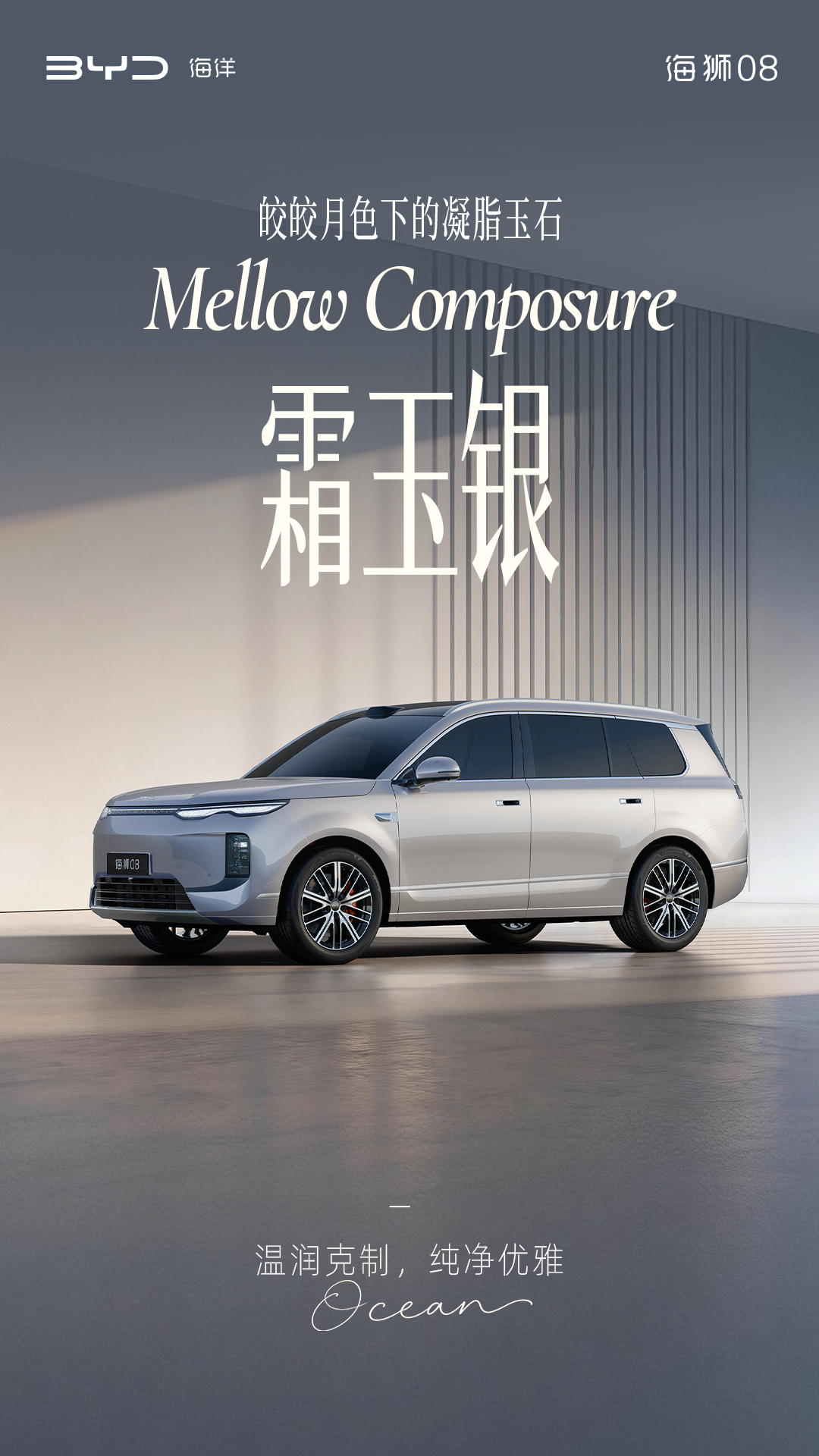 定位海洋旗舰 SUV，比亚迪公布海狮 08 多款高定车色