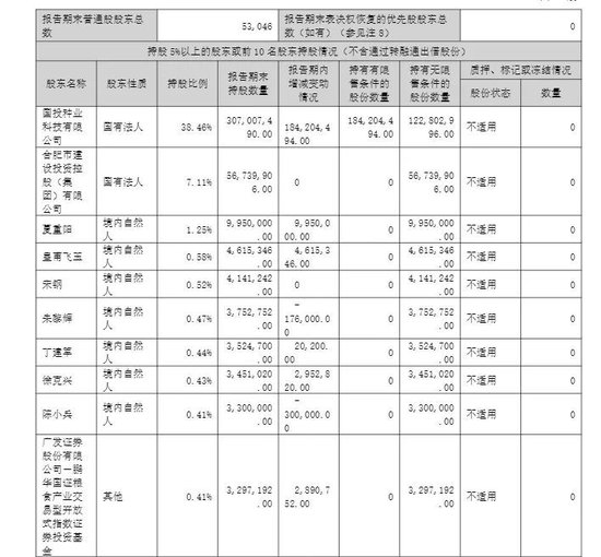半年报亏损扩大，牛散逆势买入国投丰乐