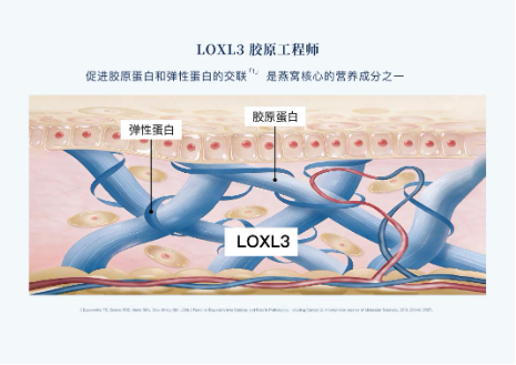 中国检验检测学会科学技术奖颁奖仪式在京举行 小仙炖斩获一等奖